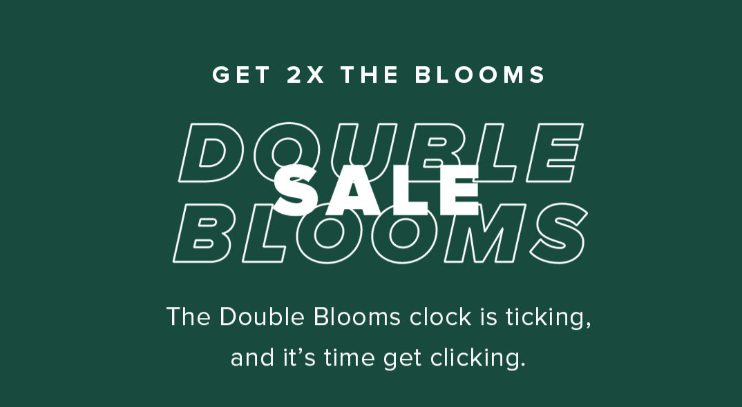 The Bouqs Coupon Free Double Blooms! MSA