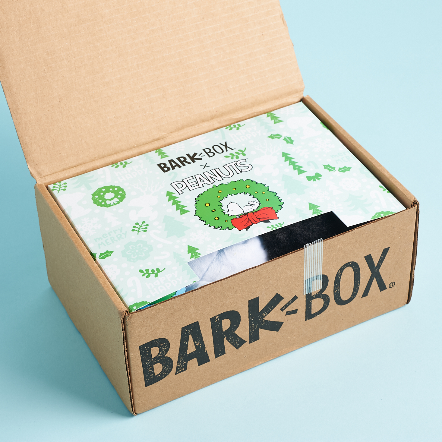 BarkBox Subscription Box Review + Coupon – December 2020