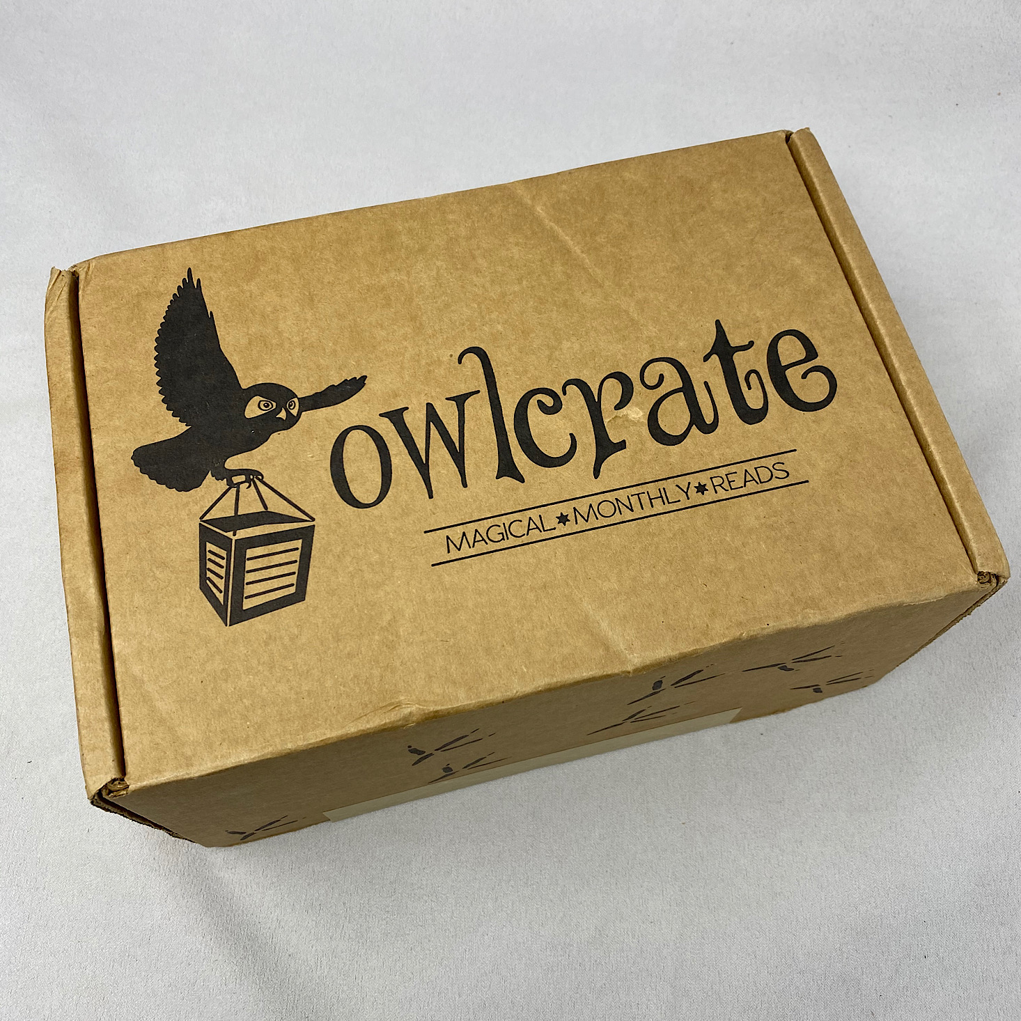 OwlCrate YA Book Box Review + Coupon – January 2021