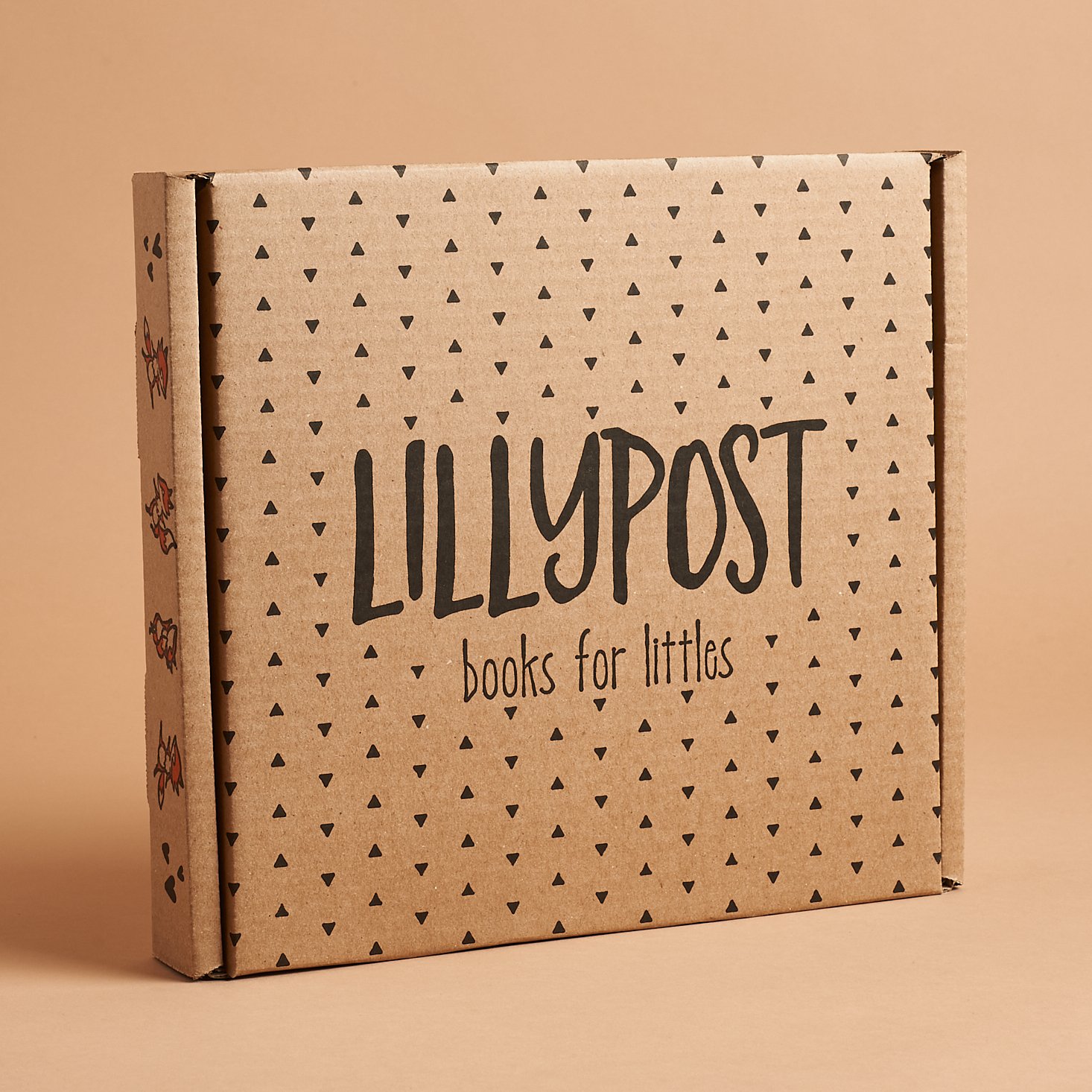 Lillypost Mixed Book Subscription Box Review + Coupon – January 2021