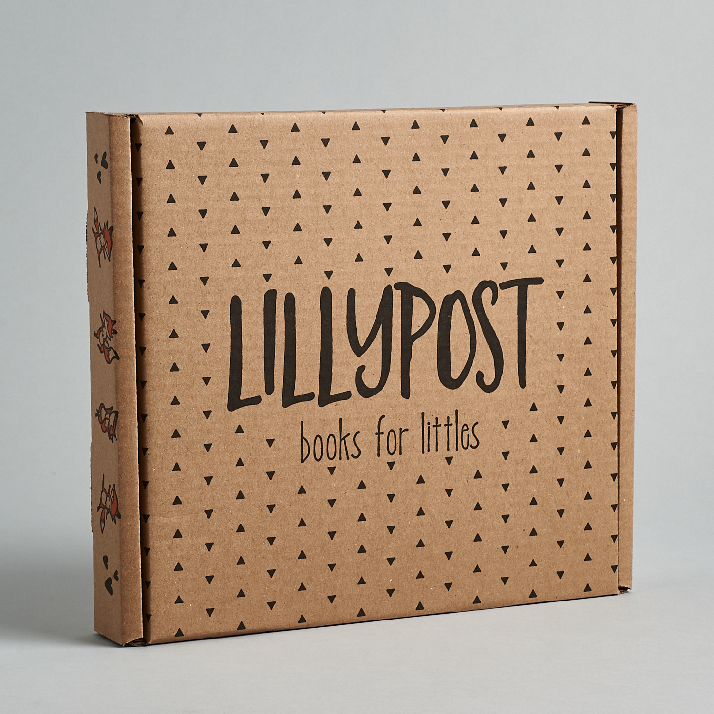 Lillypost Mixed Book Subscription Box Review + Coupon – December 2020