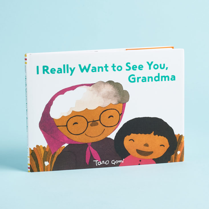 I Really Want to See You, Grandma children's book