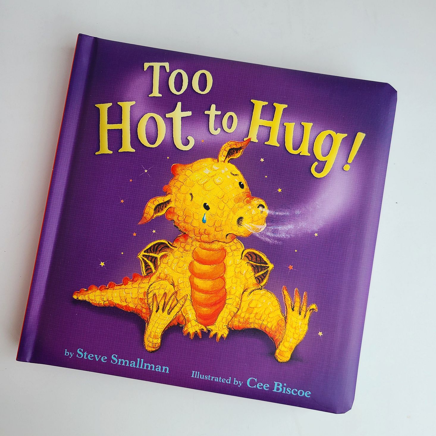 Preschool Box December 2020 too hot to hug book