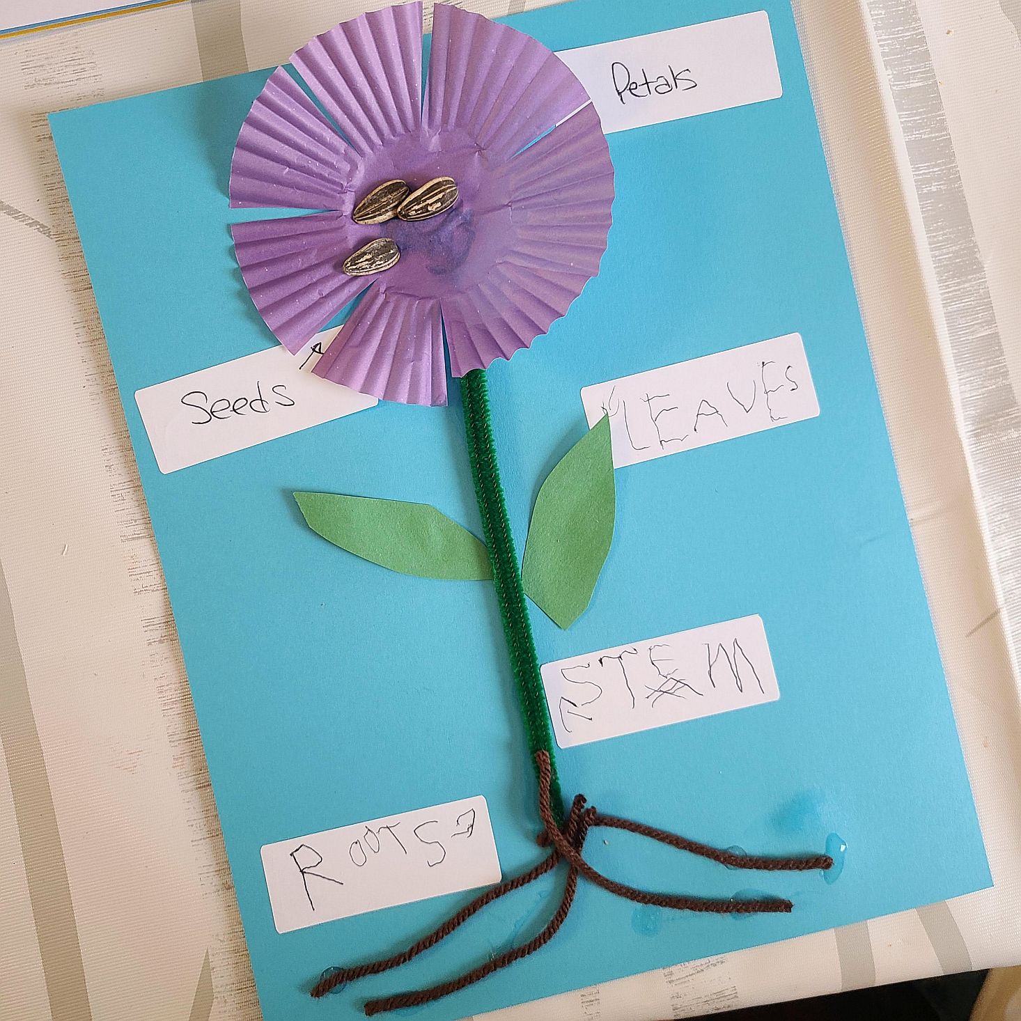 Preschool Box December 2020 flower anatomy 2