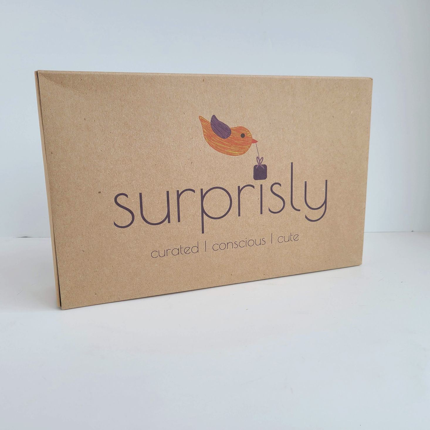 Surprisly Baby Clothing Subscription Box Review – December 2020