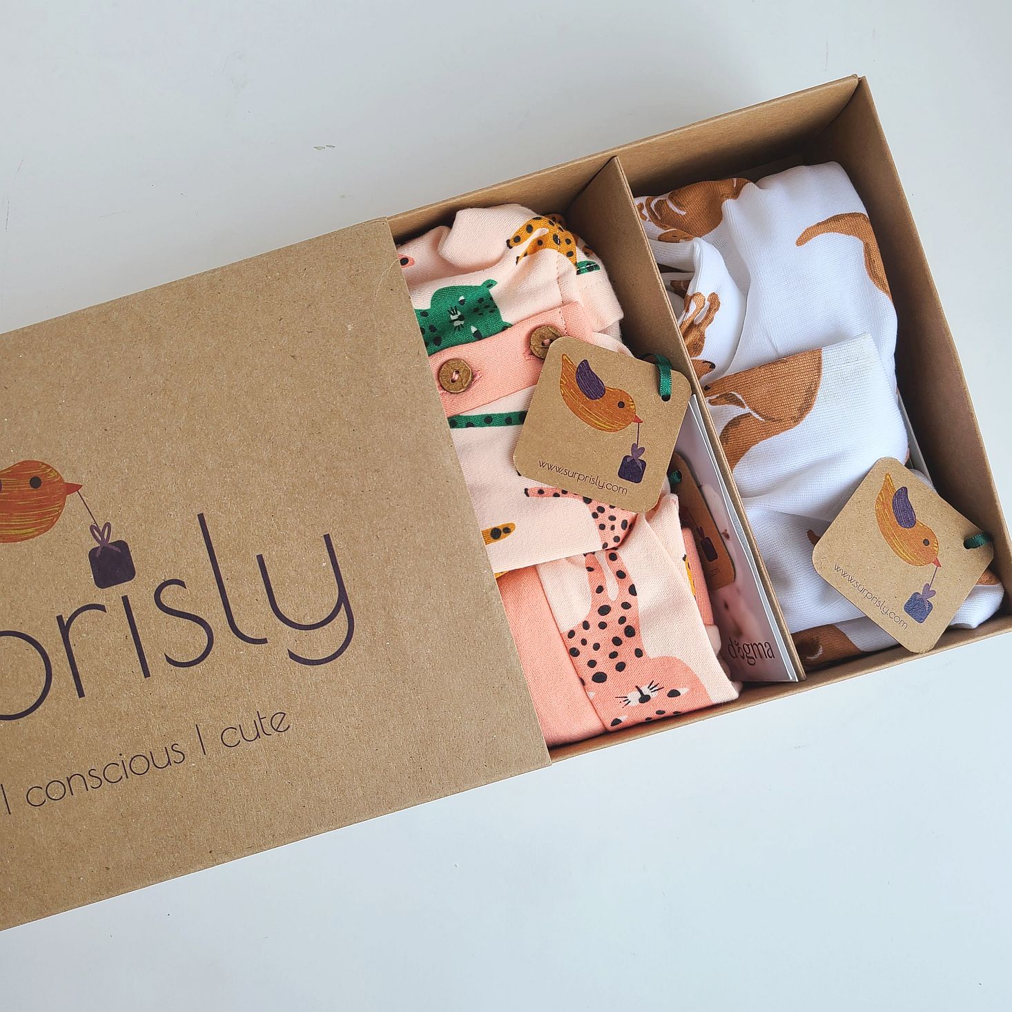 Surprisly Baby Clothing Subscription Box Review December 2020 MSA