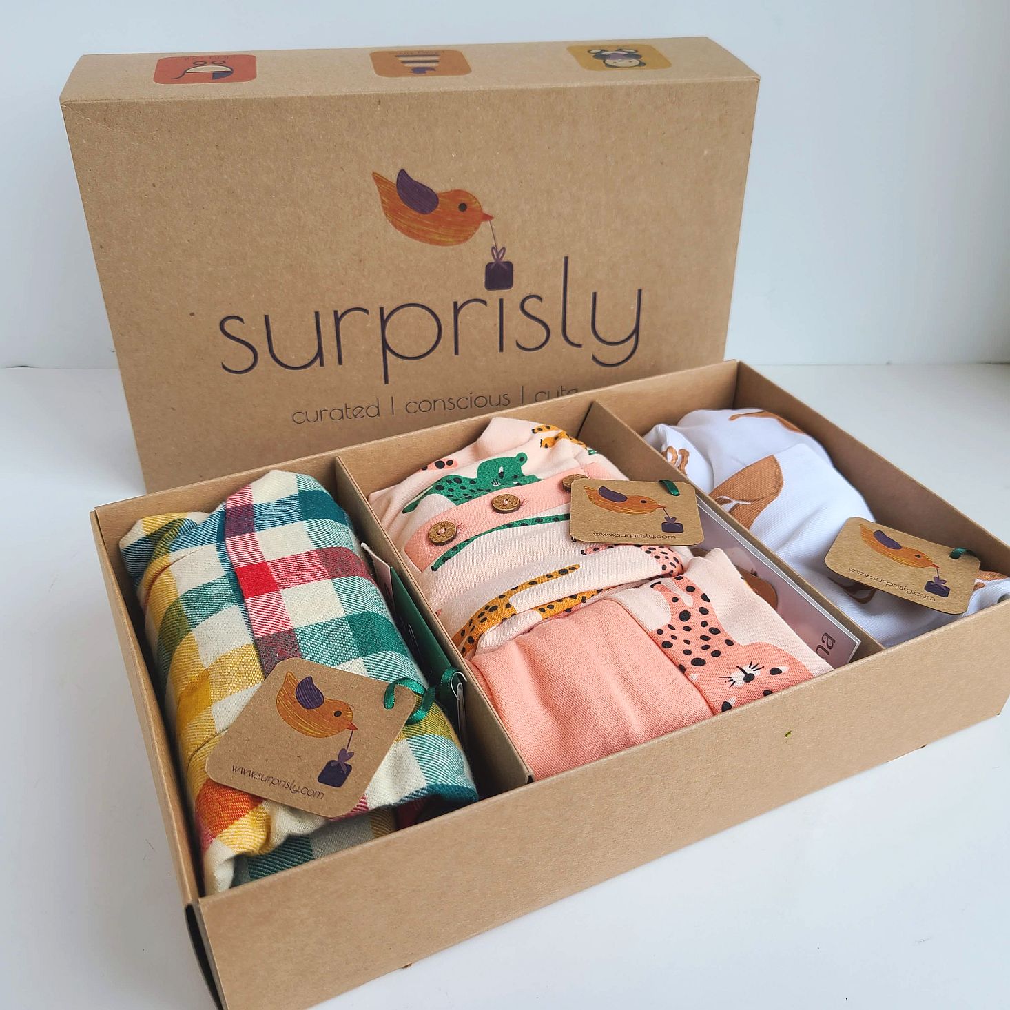 Surprisly Baby Clothing Subscription Box Review December 2020 MSA