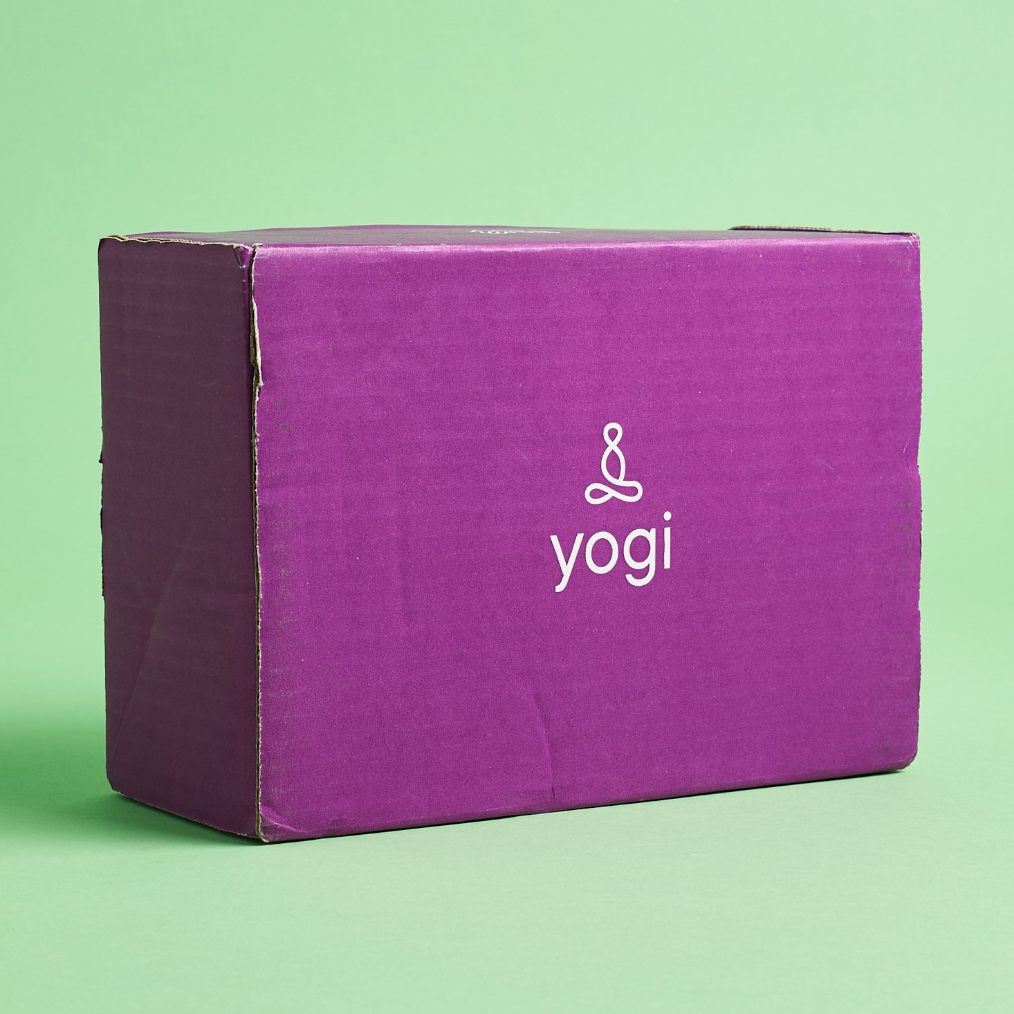 Yogi Surprise Subscription Review + Coupon – December 2020