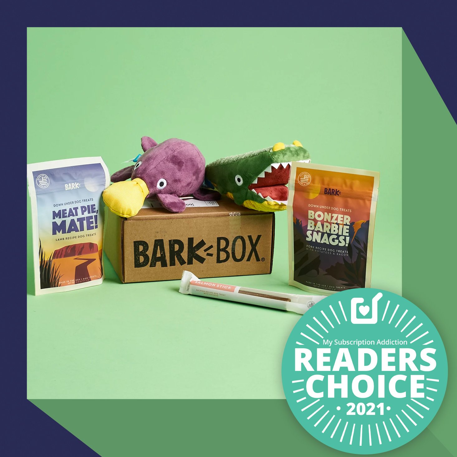 The 11 Best Dog Subscription Boxes – 2021 Readers’ Choice Awards | MSA