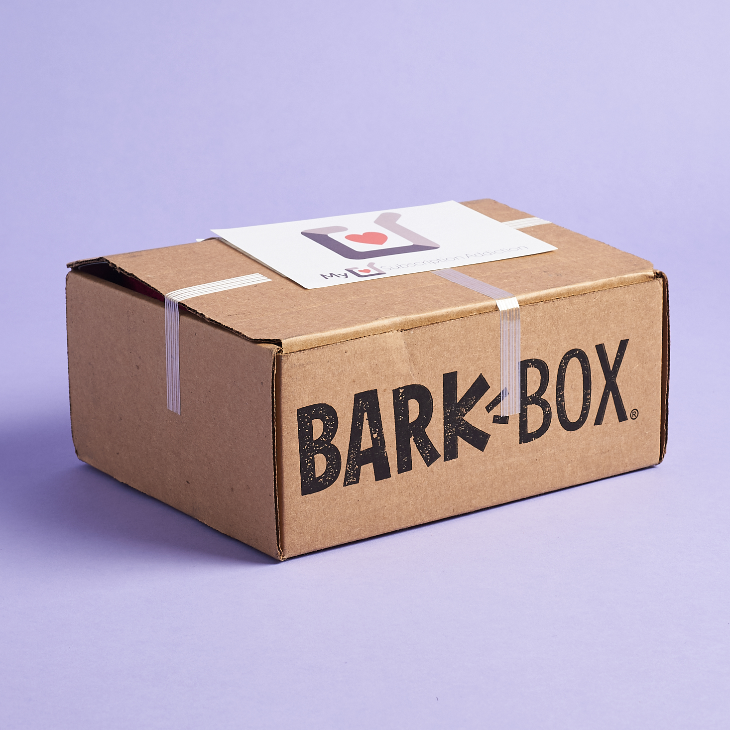 BarkBox Review + Coupon December 2020 MSA