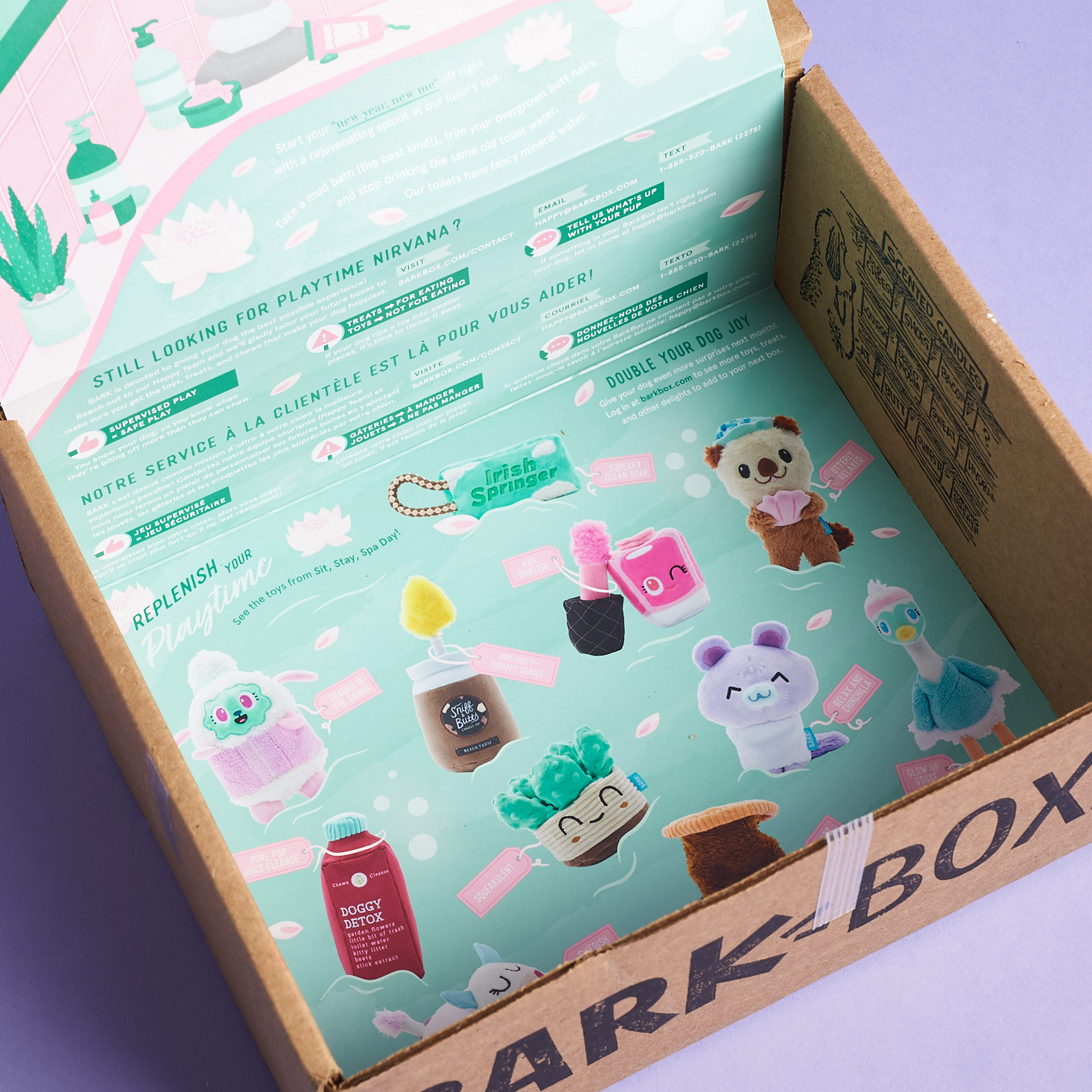 BarkBox Review + Coupon – December 2020 | MSA