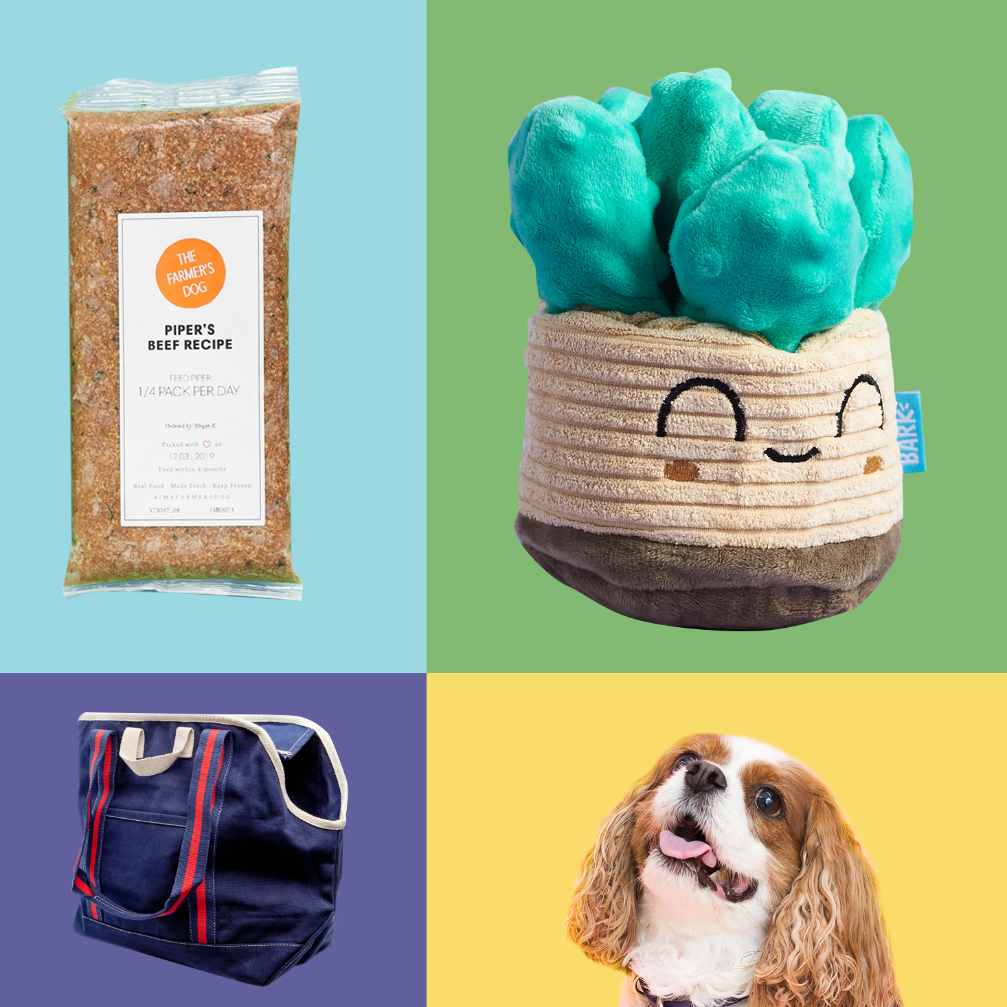 Top 11 Gifts for Dog Lovers They Will Love