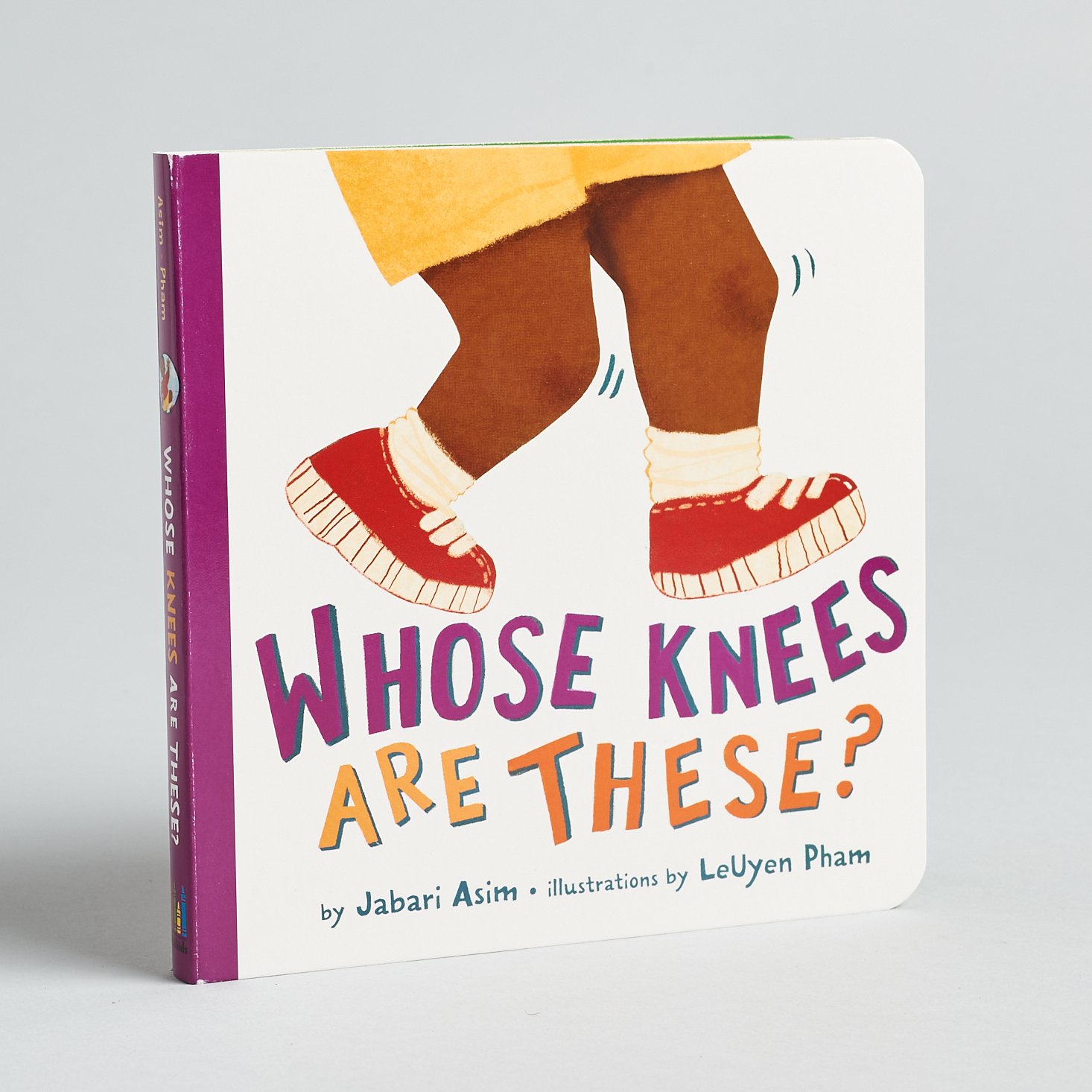 LIttle Feminist January 2021 knees book cover