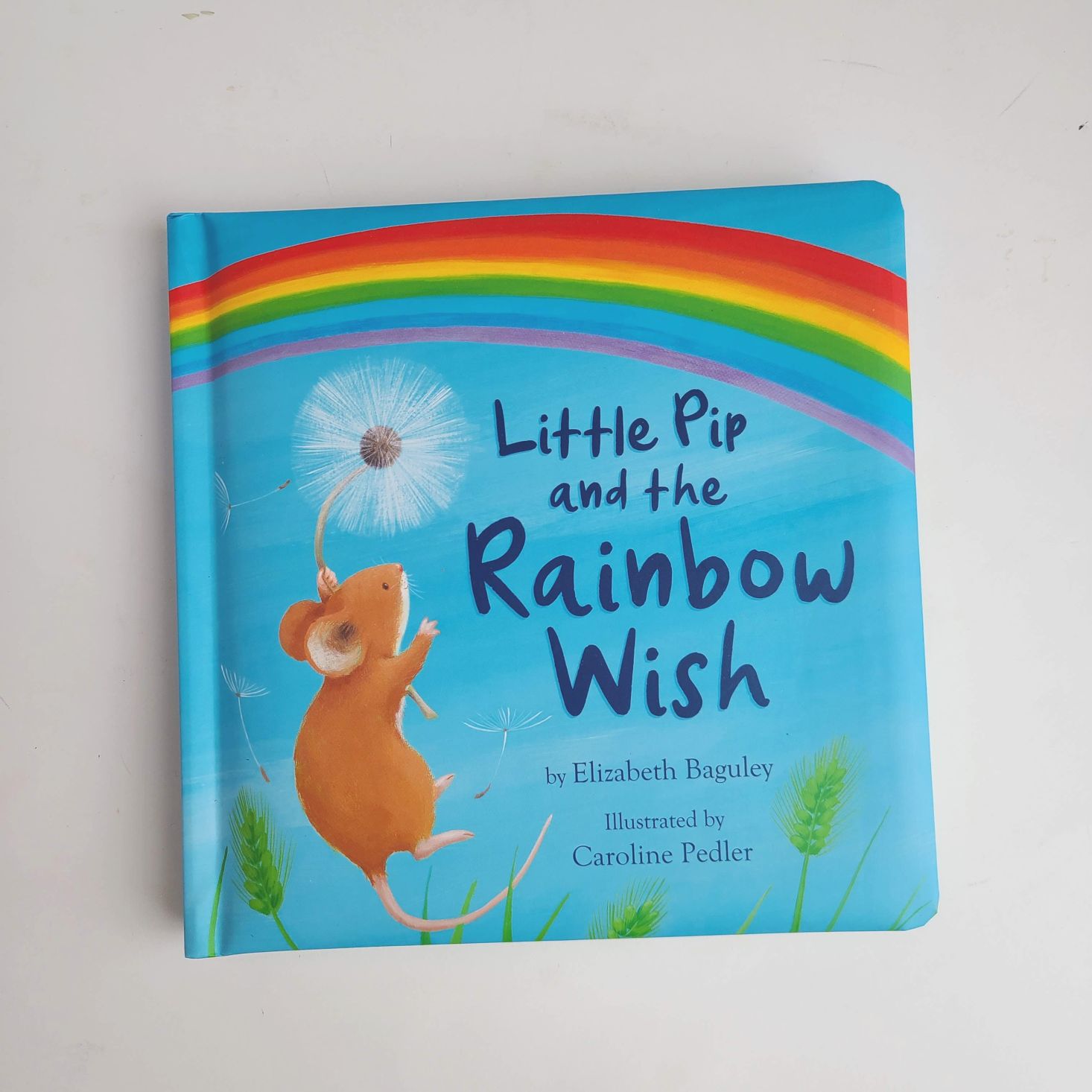 Preschool Box January 2021 book