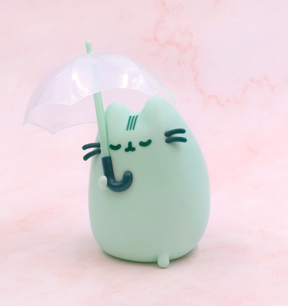 pusheen winter box 2021