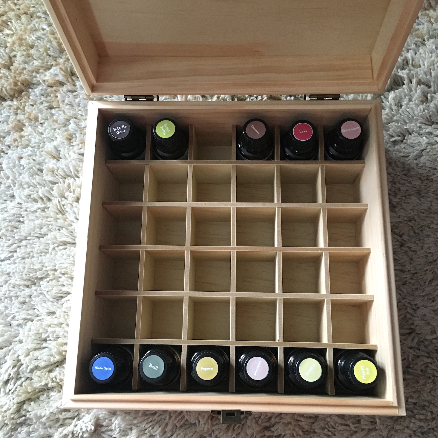 Simply Earth essential oil storage box