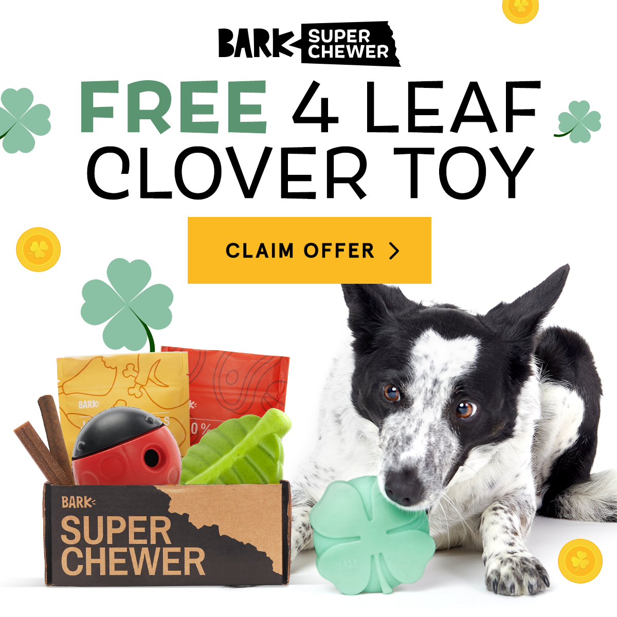 Super Chewer Coupon – Free Four Leaf Clover Toy