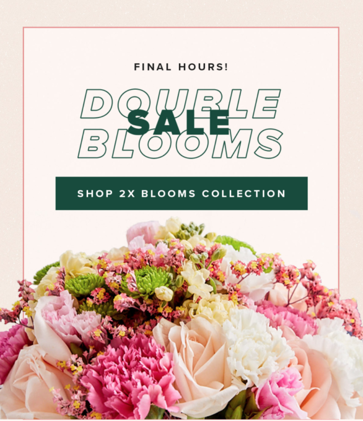 The Bouqs Coupon Free Double Blooms! MSA