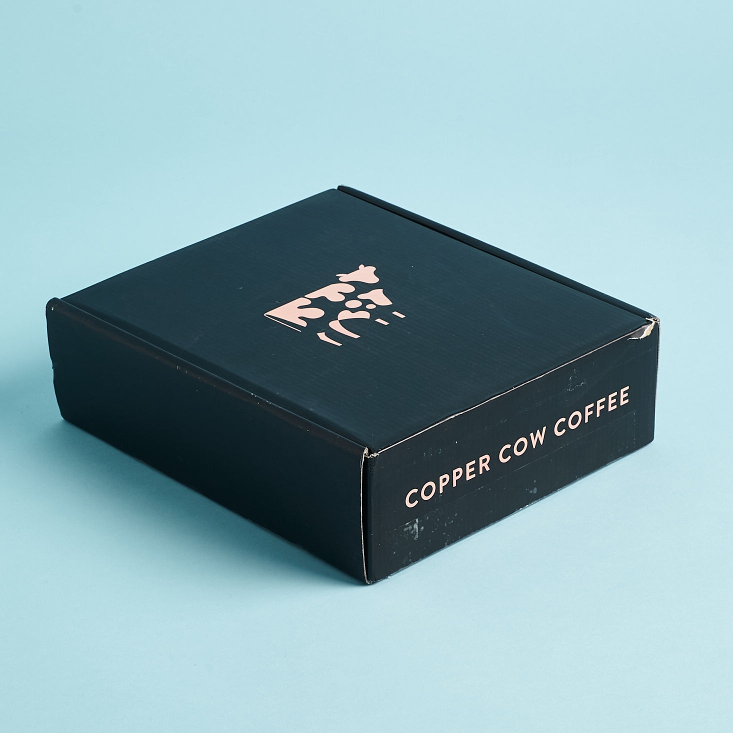 Copper Cow Coffee | Latte Gift Set