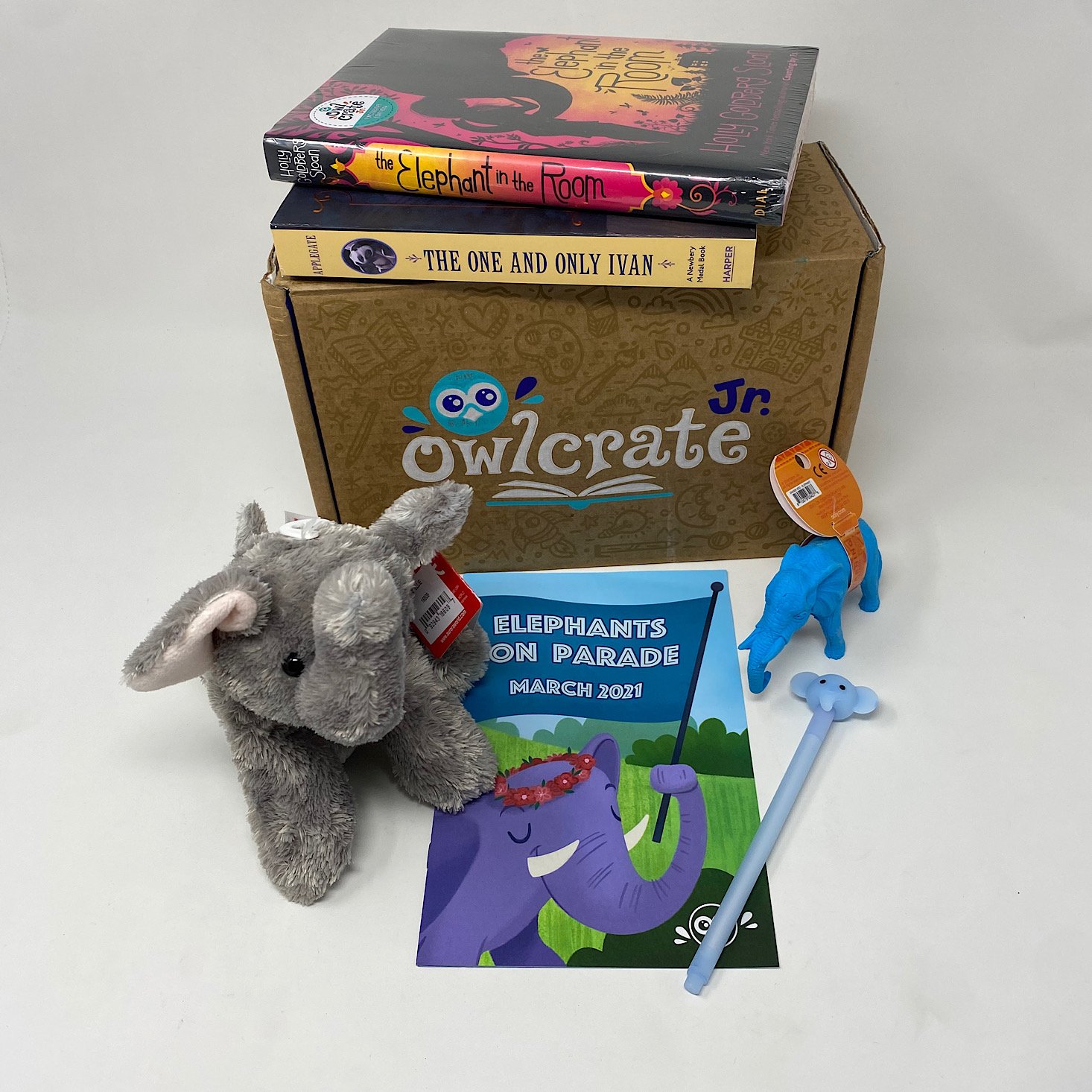 OwlCrate Jr Book Box Review + Coupon – March 2021