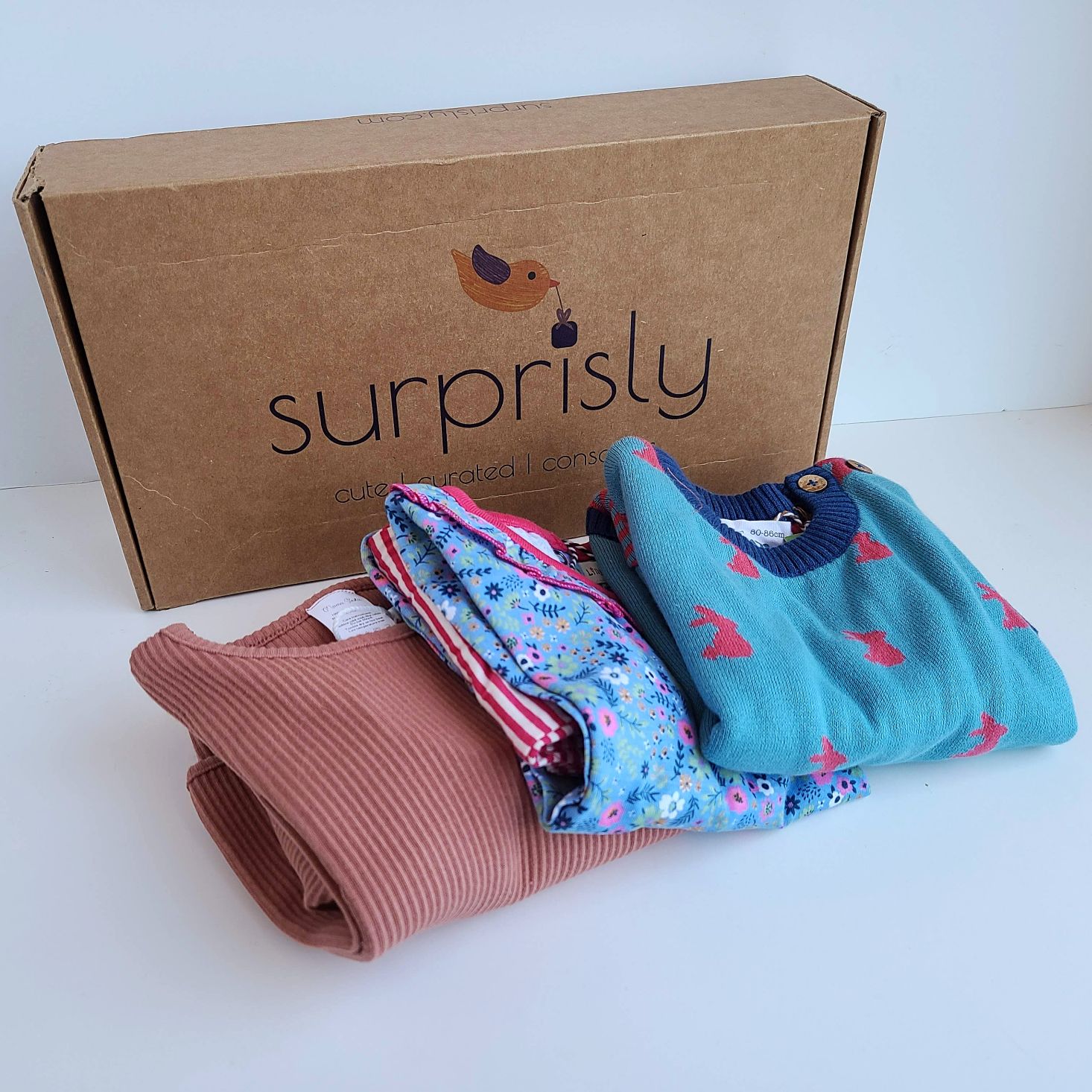 Surprisly Baby Clothing Subscription Box Review March 2021