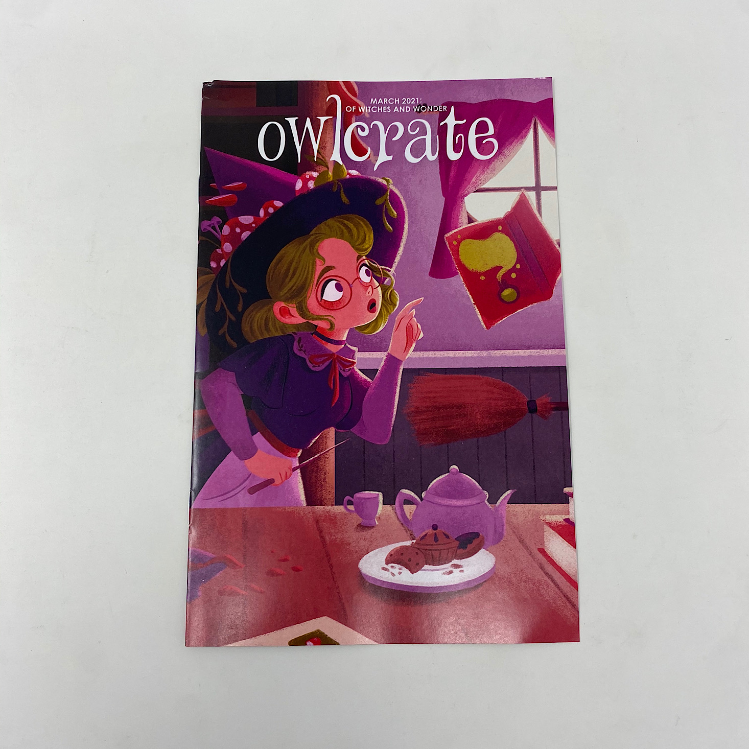 OwlCrate YA Book Box Review + Coupon – March 2021