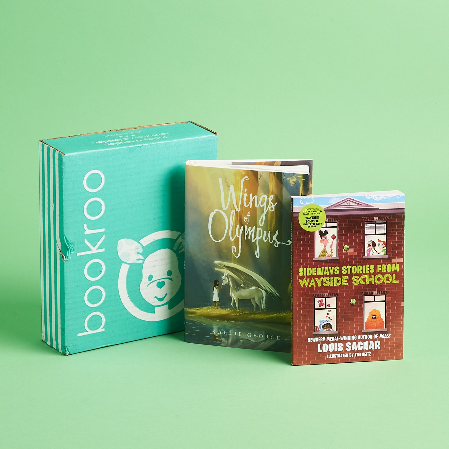 bookroo box and books