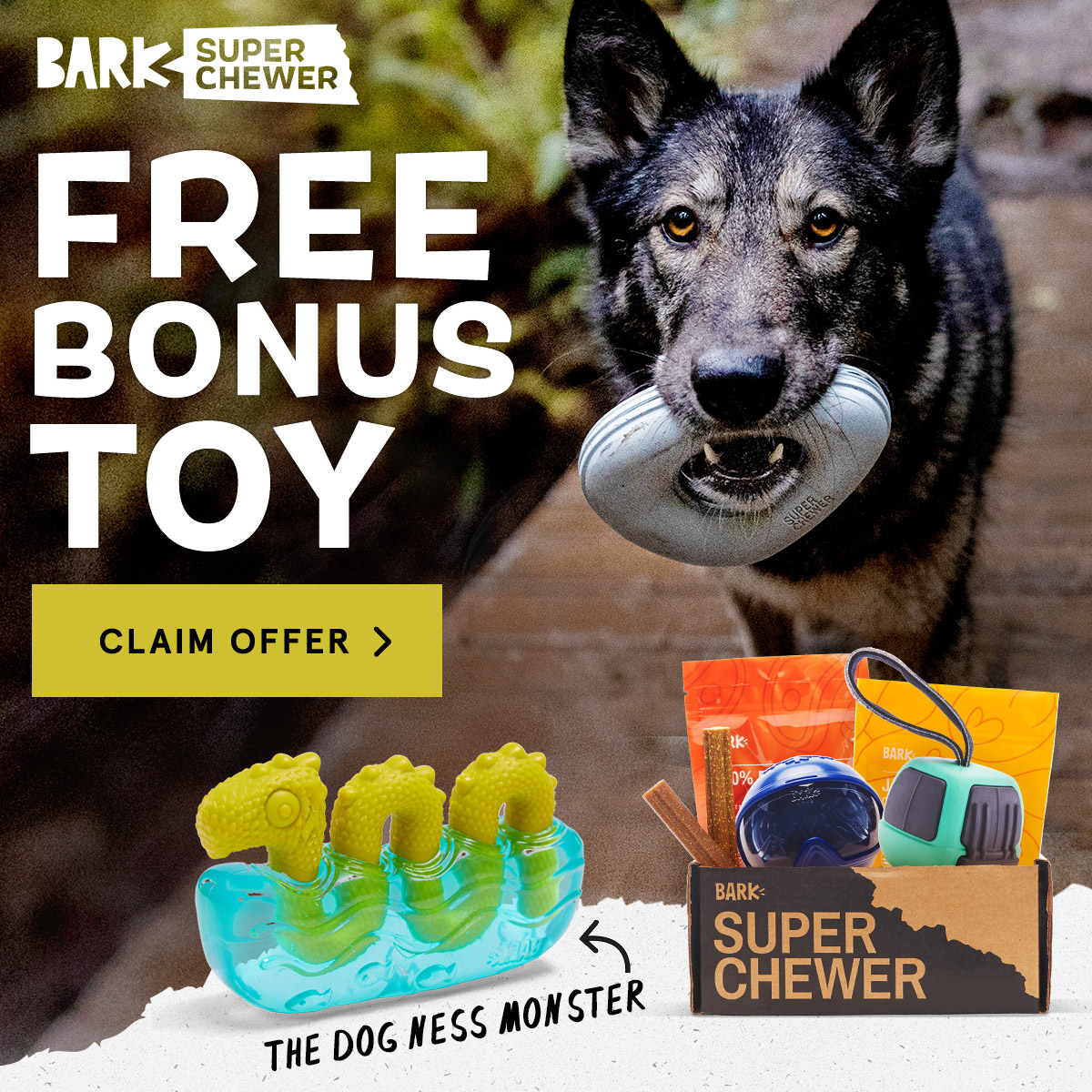 Super Chewer Coupon – Free Dog Ness Monster Toy in Your First Box