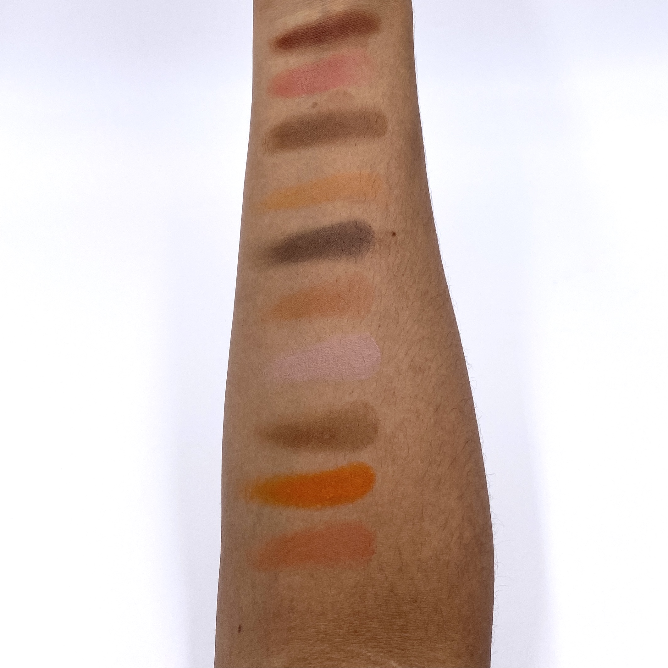 Lipstick Palettes Swatch for Brown Sugar Box February 2021