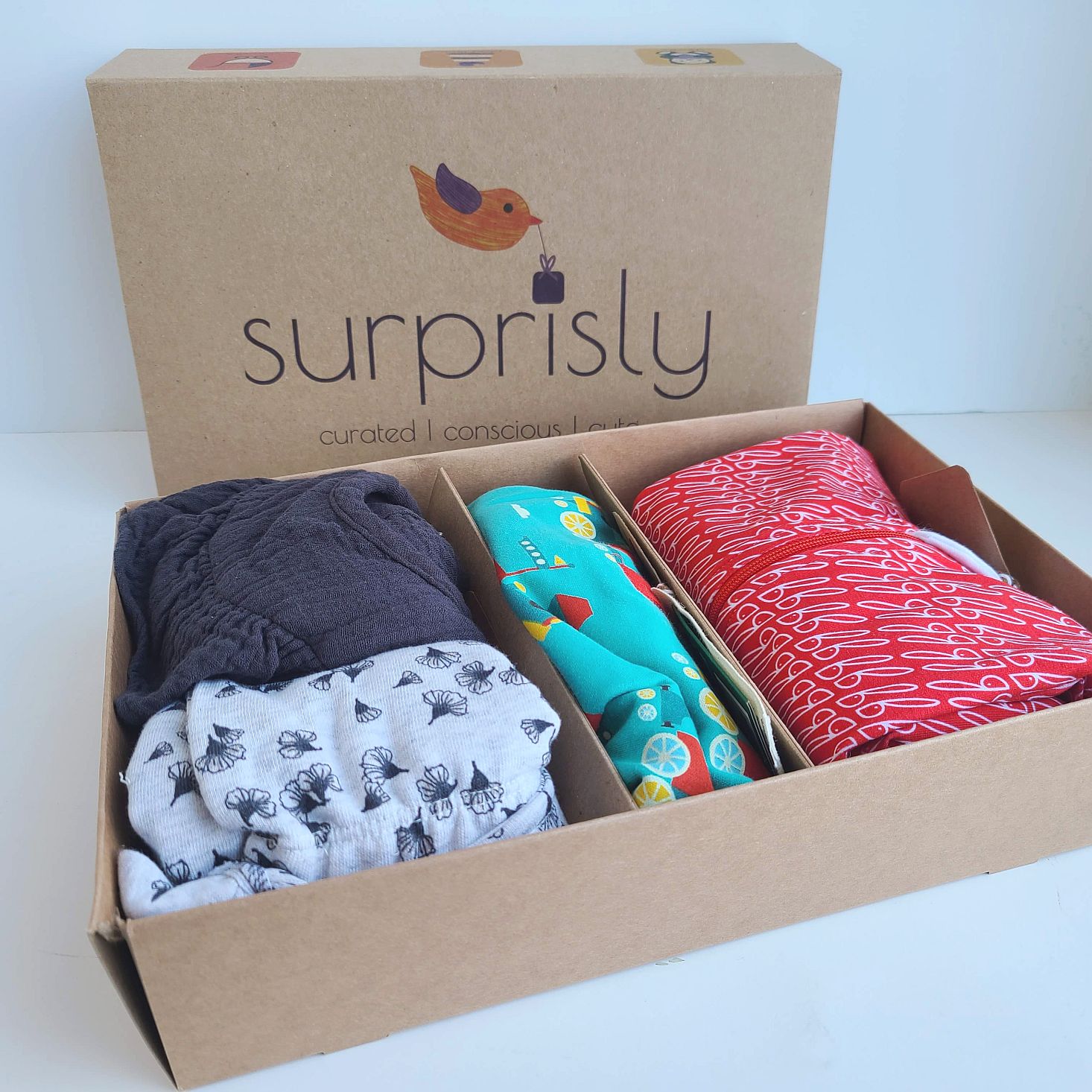 Surprisly Baby Clothing Subscription Box Review – February  2021