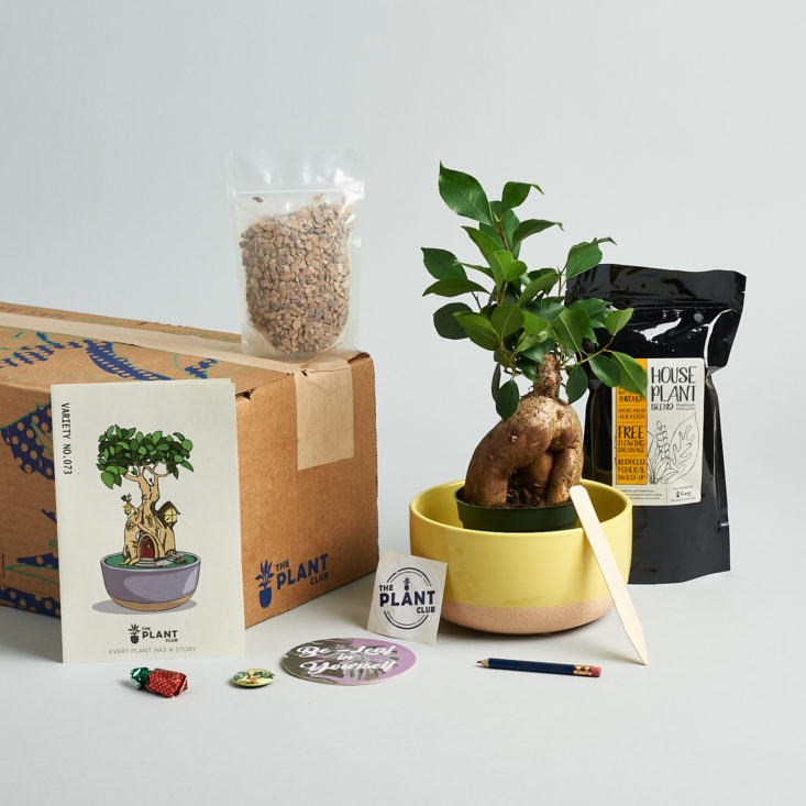 plant club box with plants and other items around it