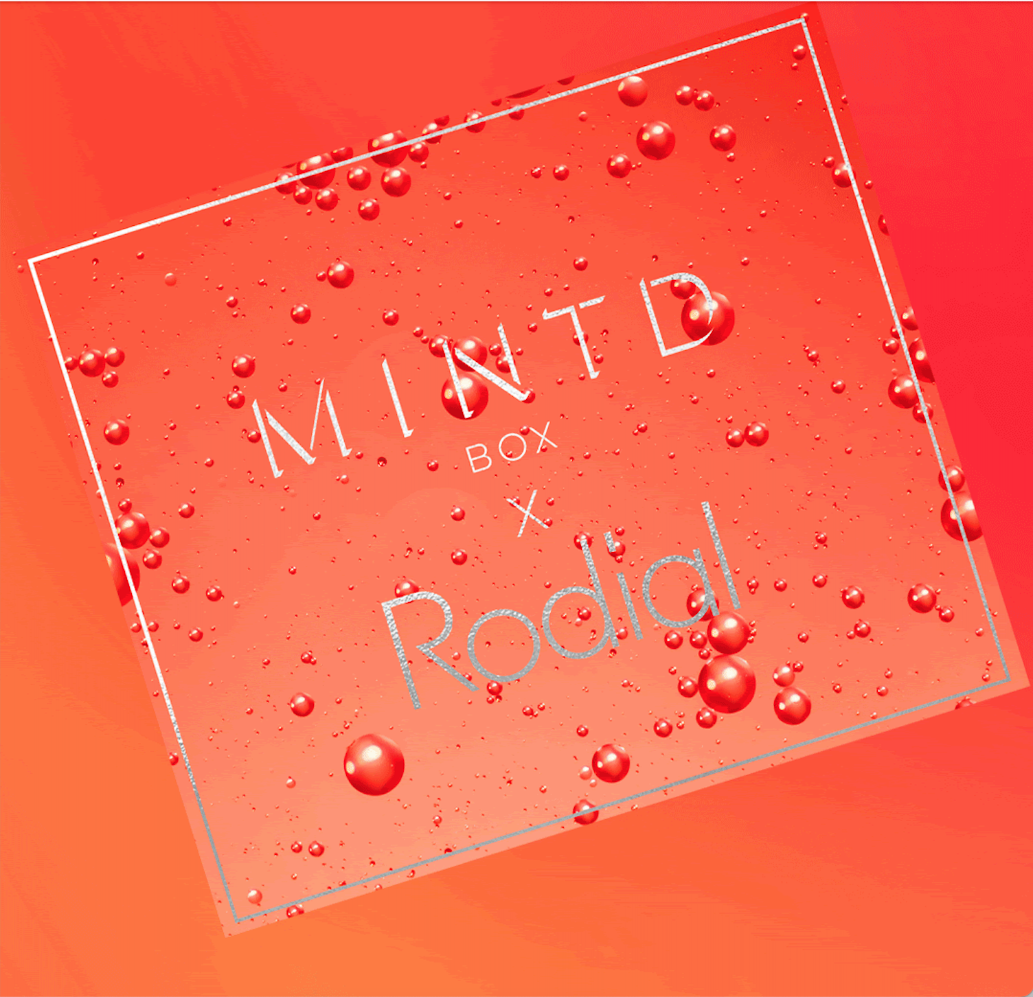 MINTD x Rodial Box Spoiler #2