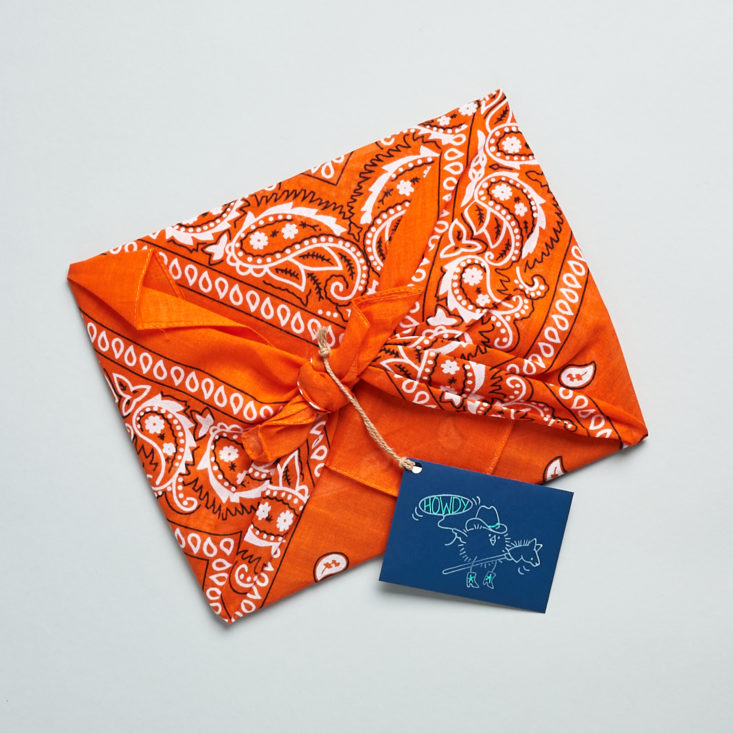 PostBox April 2021 bandana-wrapped contents