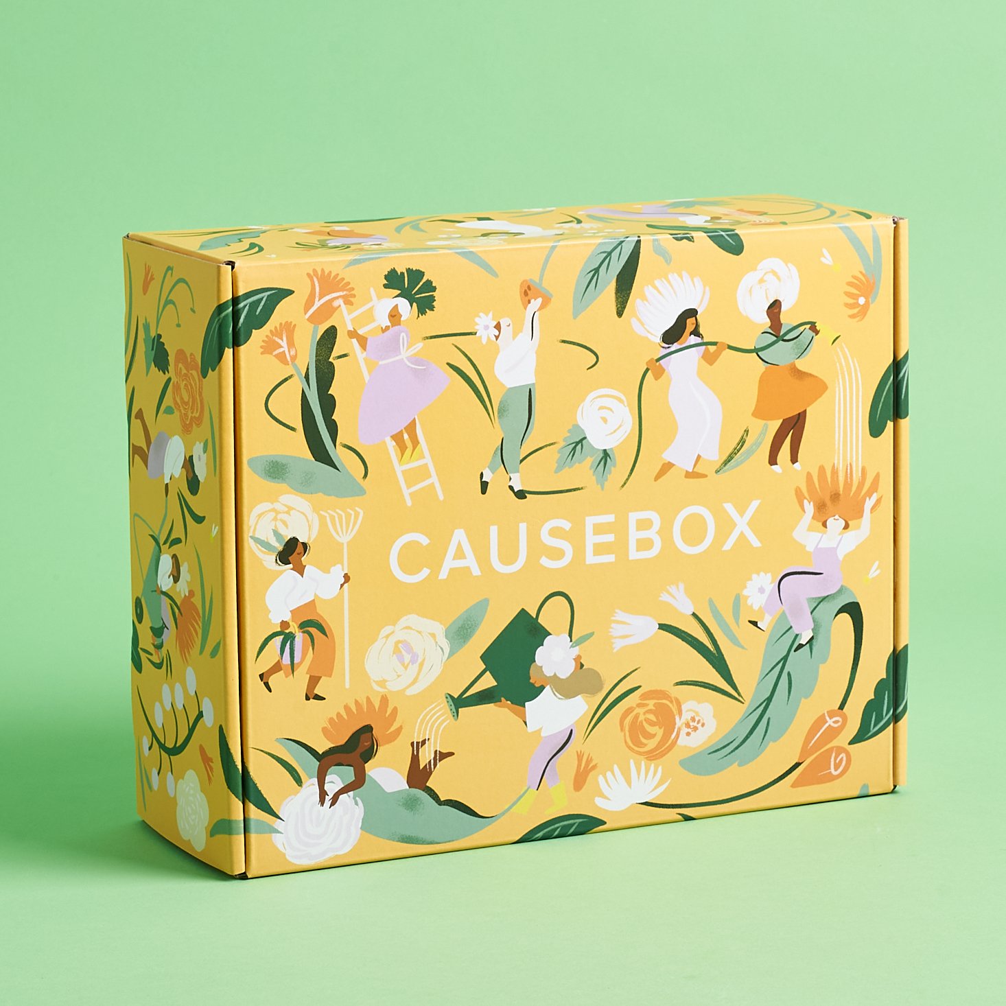 CAUSEBOX Subscription Review Spring 2021 MSA