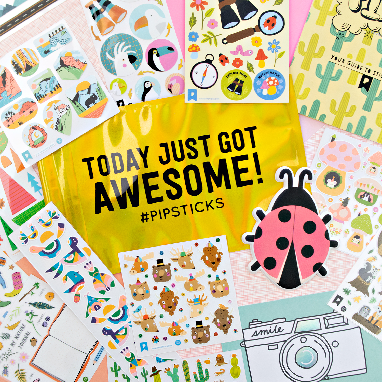 Pipsticks Coupon – Save 50% on a Sticker Club Subscription