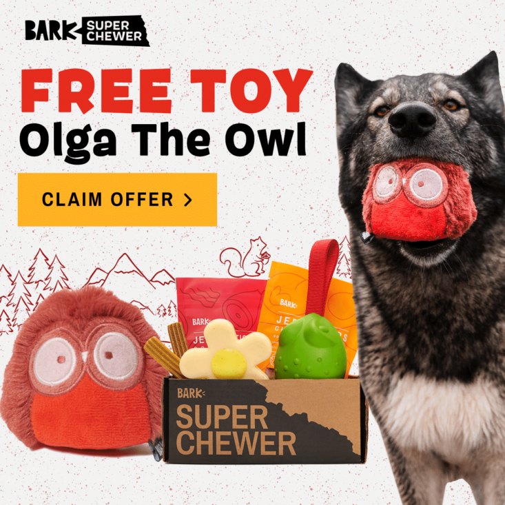 Super Chewer: Olga the Owl