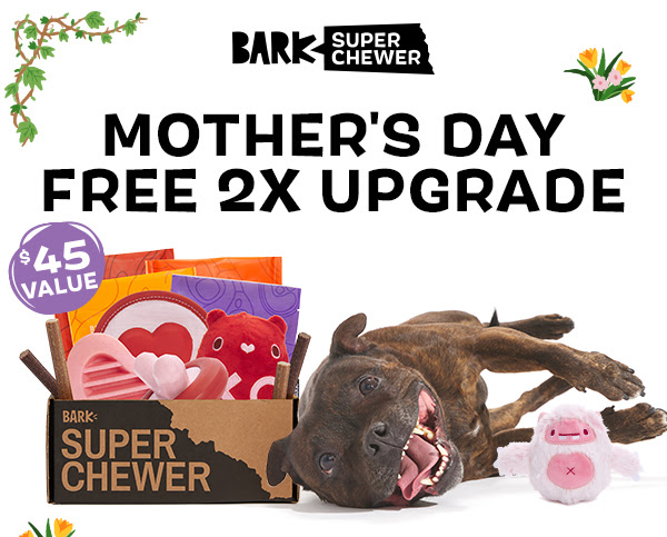 Super Chewer Mother's Day upgrade
