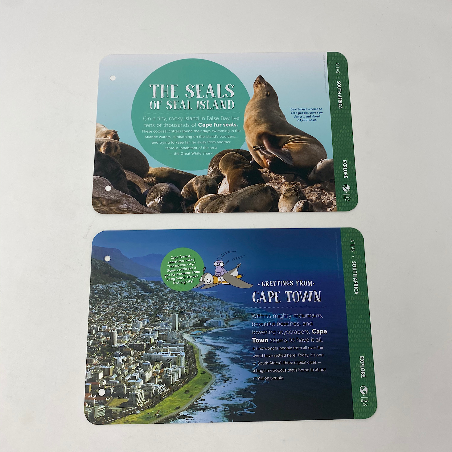 Seals and Cape Town Cards