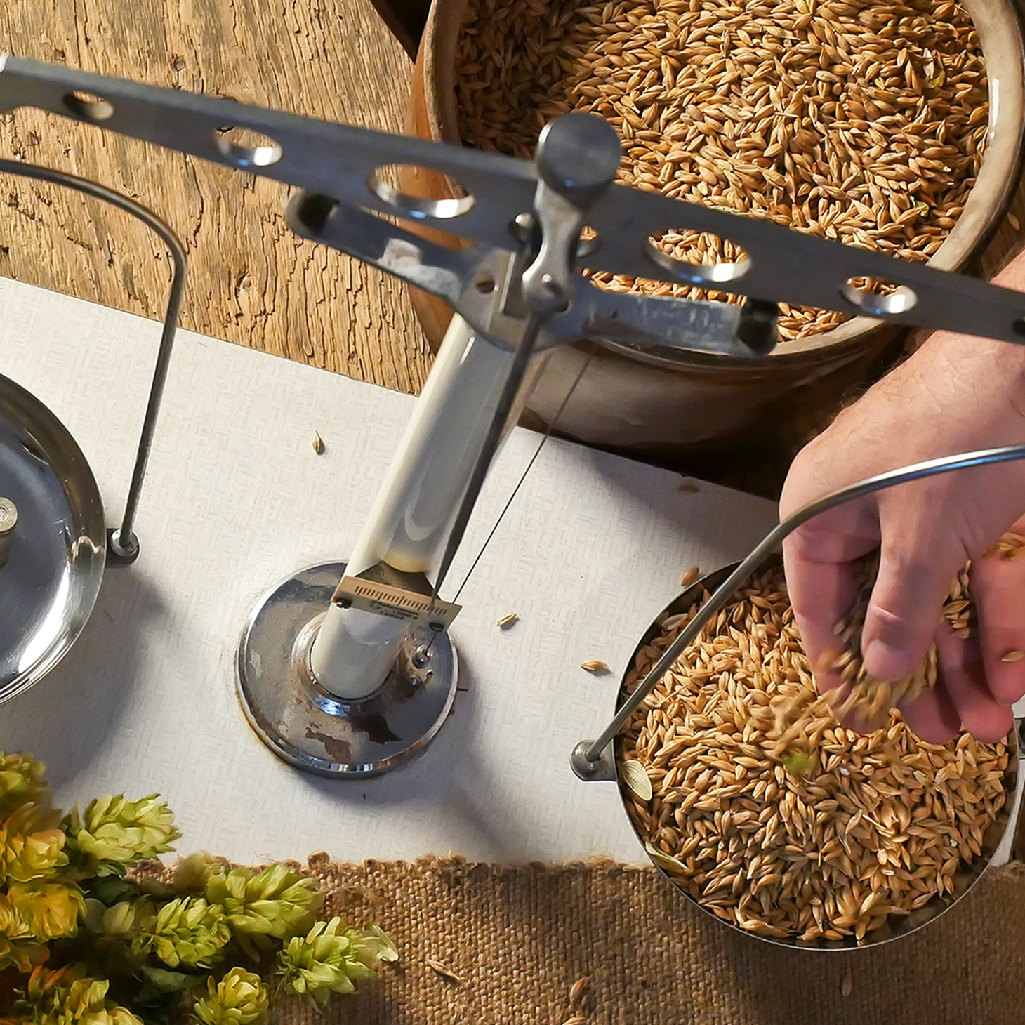 There’s a Subscription for That: Home Brewing