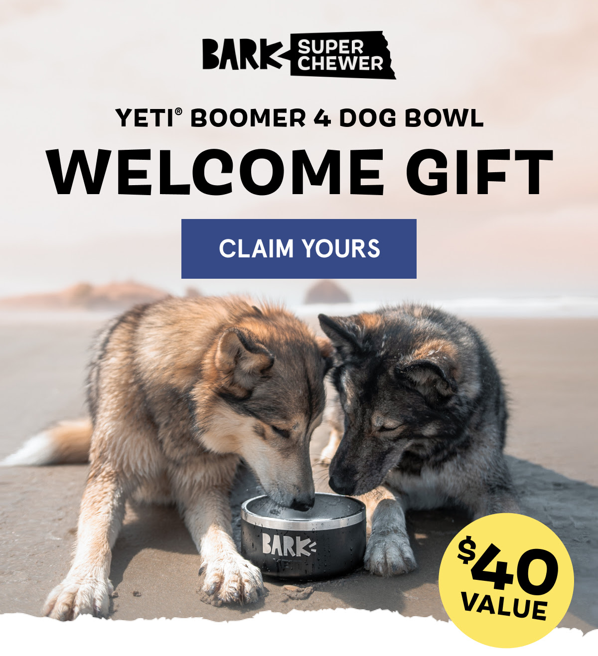 Super Chewer: Free YETI Dog Bowl with Multi-Month Subscription