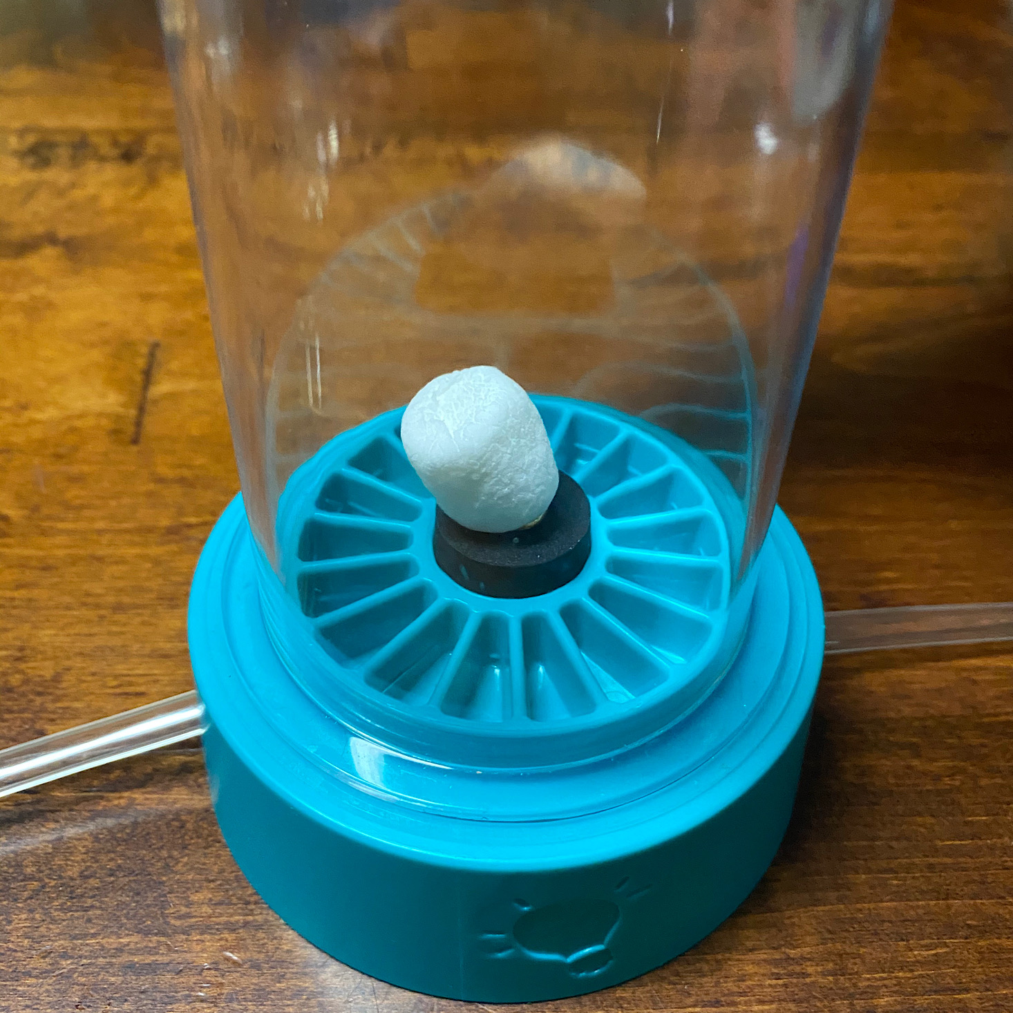 KiwiCo Tinker Crate Review + Coupon Vacuum Chamber MSA