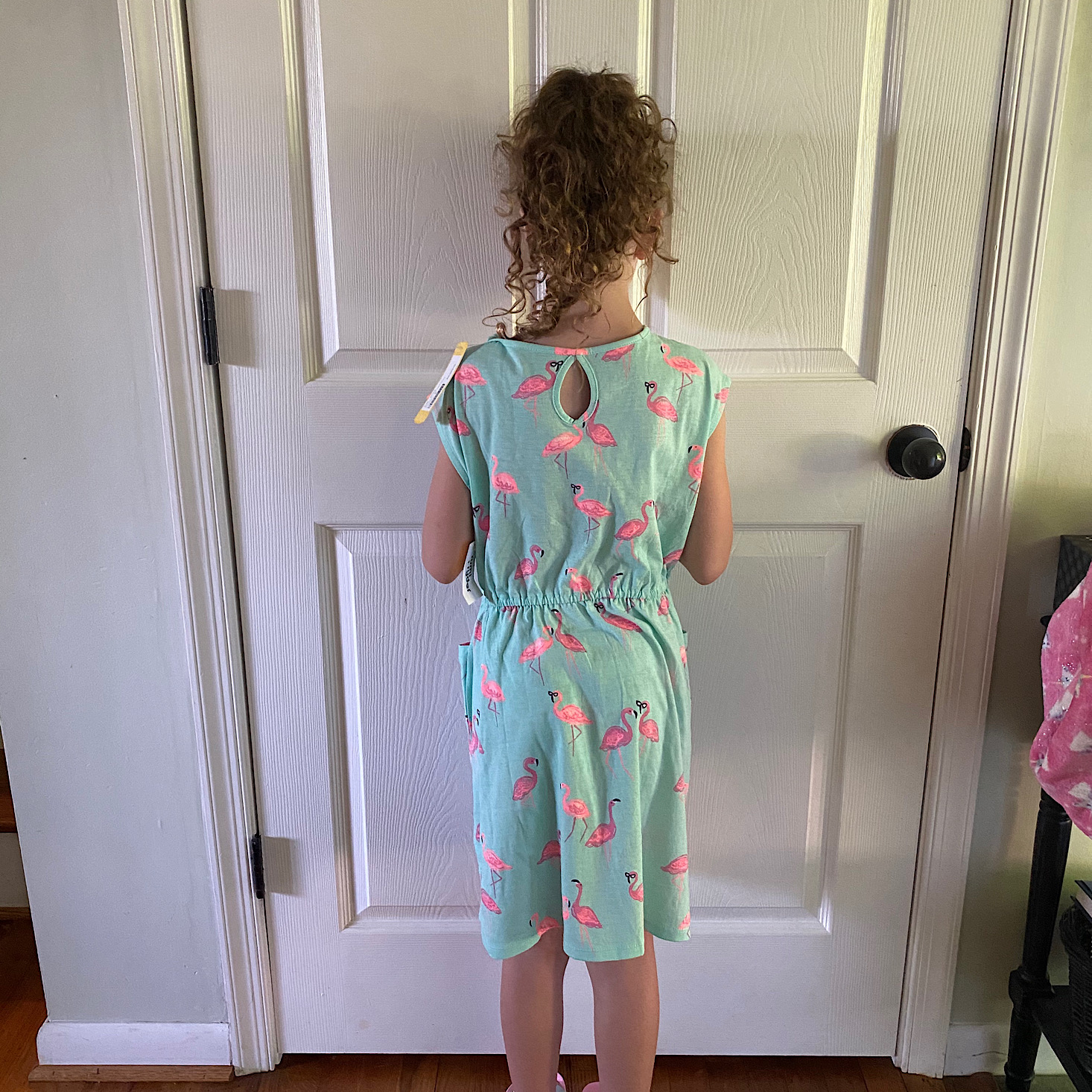 Flamingo Dress Back