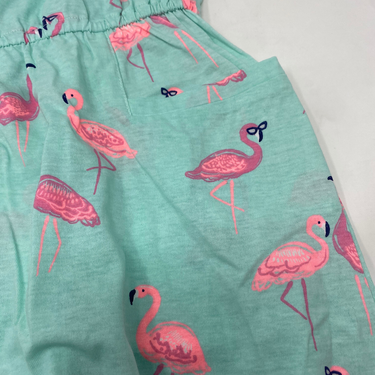Flamingo Pocket Closeup