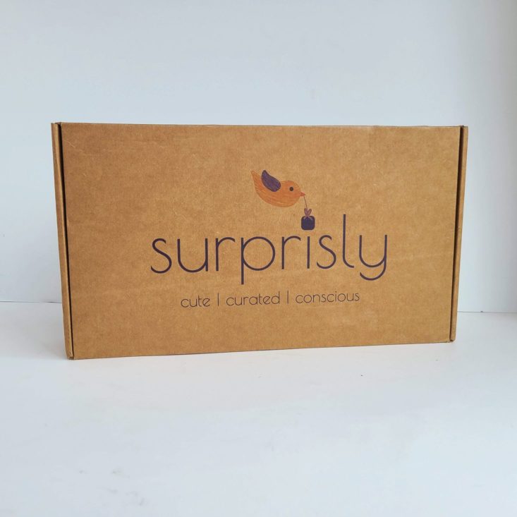 Suprisly May 2021 shipping box