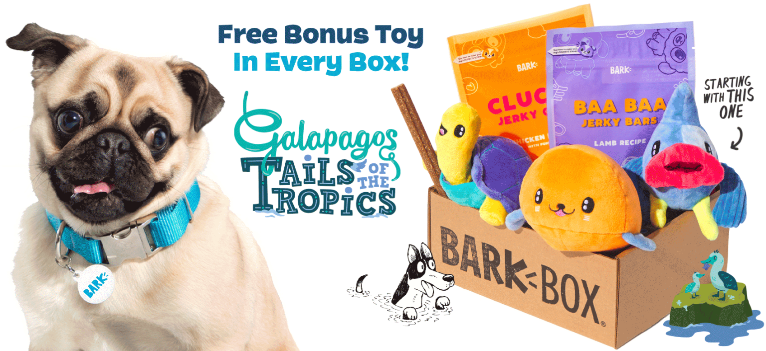 BarkBox Coupon Get a Free Extra Toy With Subscription My