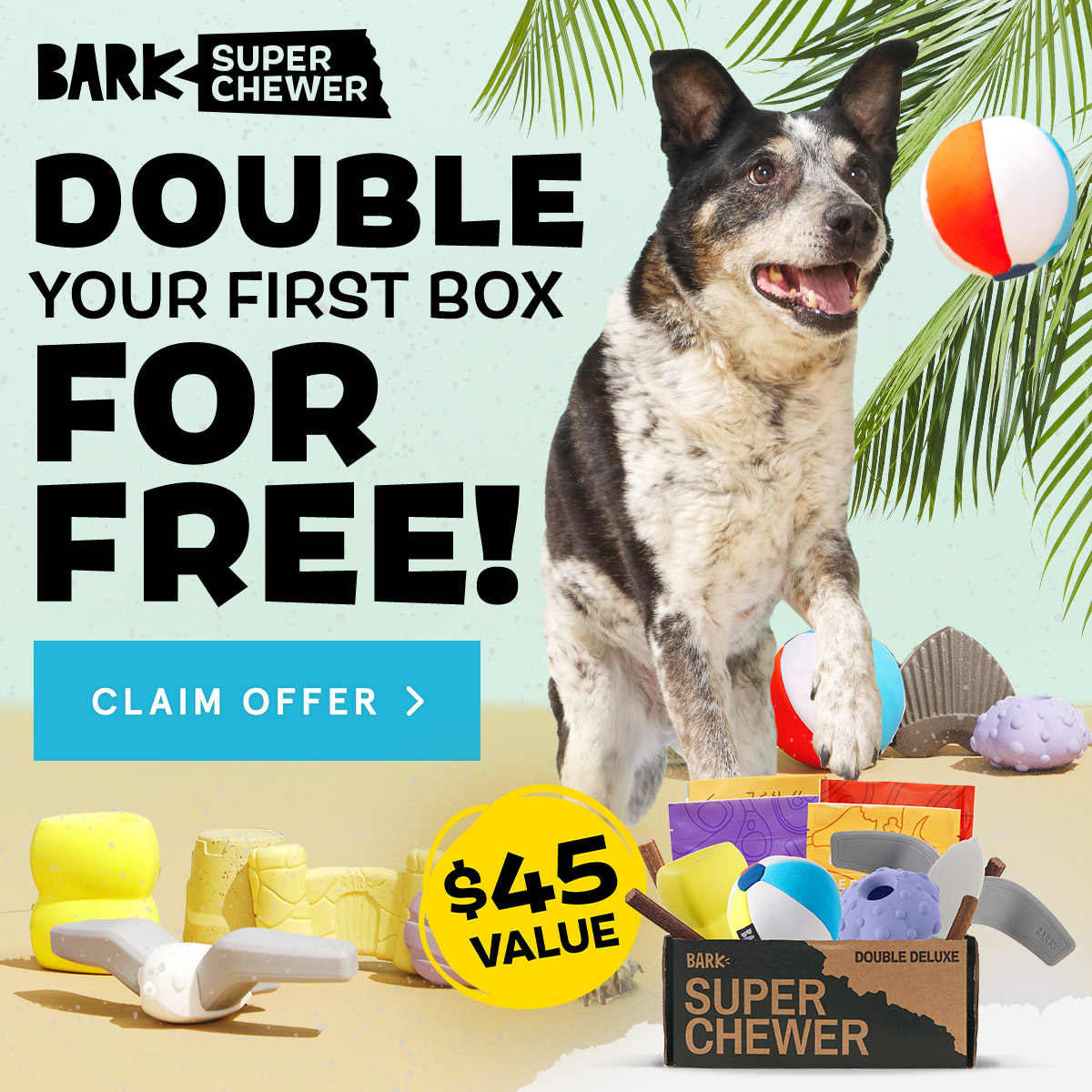 Super Chewer: Double Your First Box