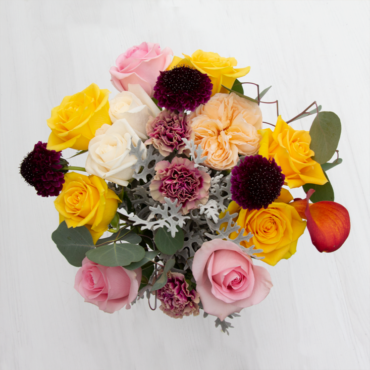 Enjoy Flowers