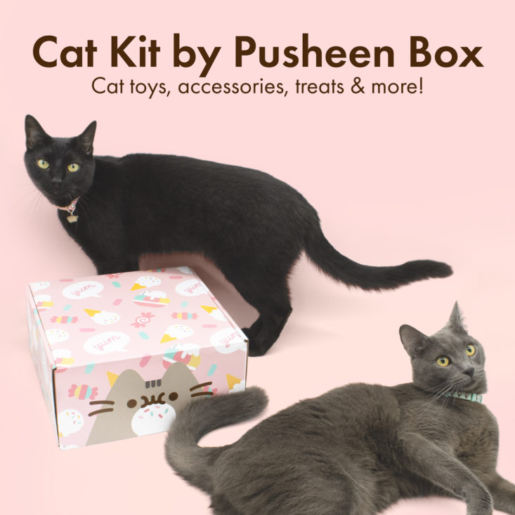 New Cat Kit by Pusheen Box – MSA Exclusive Coupon | My Subscription ...