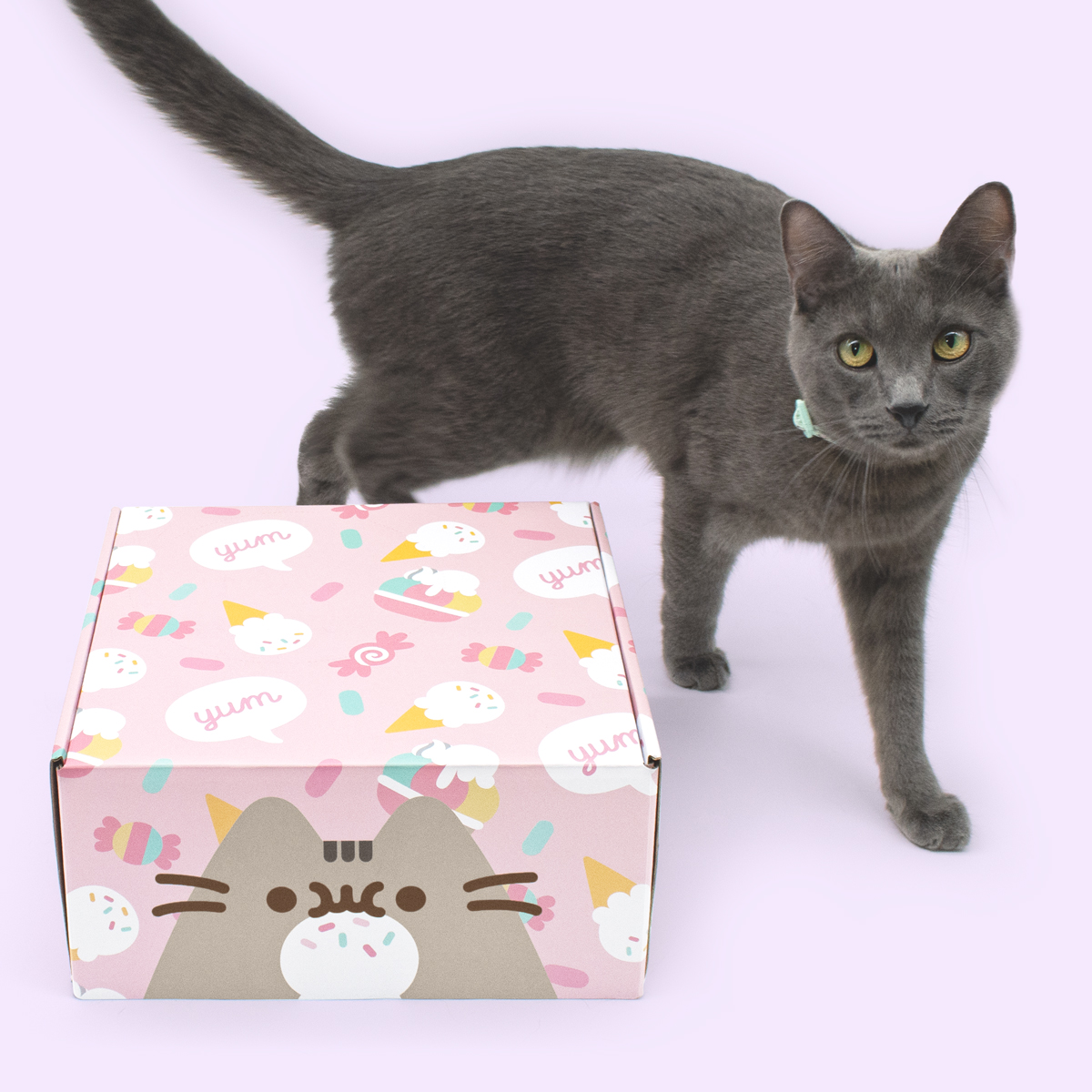 Cat Kit by Pusheen Summer 2021 Box – Spoiler #1 | My Subscription Addiction