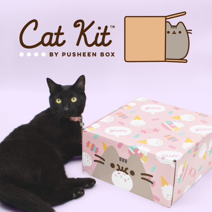 New Cat Kit by Pusheen Box – MSA Exclusive Coupon | My Subscription ...